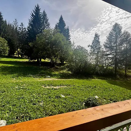 Appartement Renove 5 Pers, Aux Pieds Avec Balcon